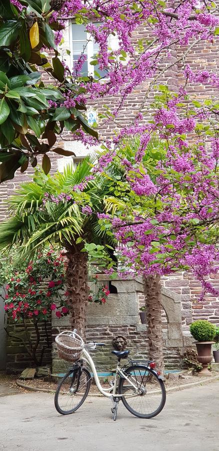 Castel Jolly Bed & Breakfast Rennes Ngoại thất bức ảnh